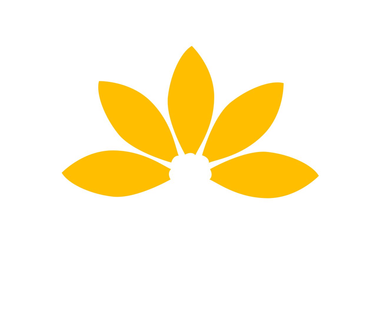 Netsanet e.V. Logo
